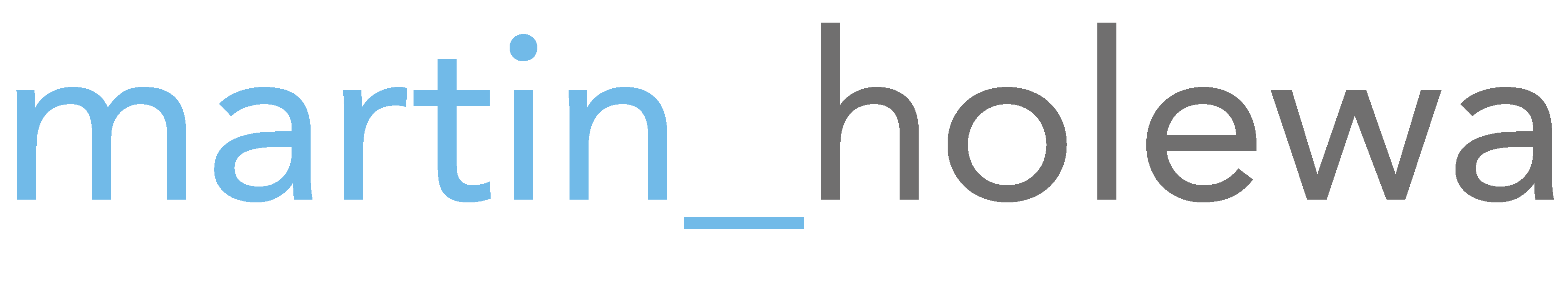 Martin Holewa Logo
